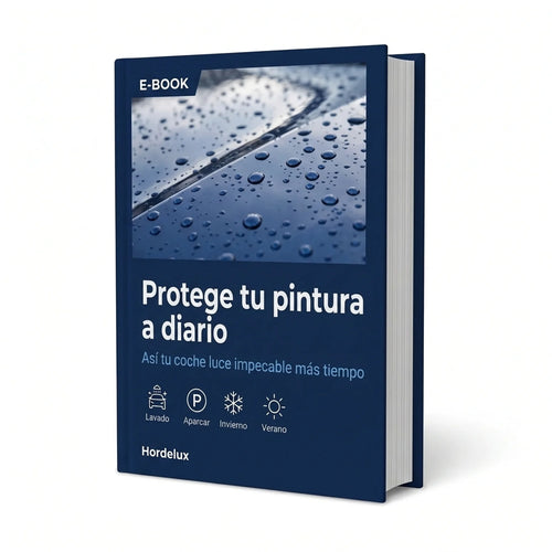 E-BOOK: Protege tu pintura a diario